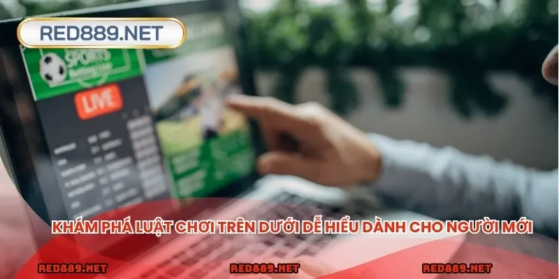 Khám phá luật chơi trên dưới dễ hiểu dành cho người mới